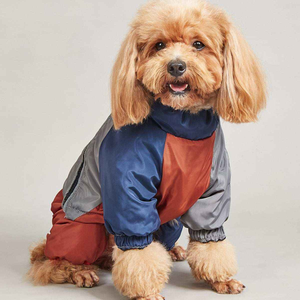 Cappotto Impermeabile per Cani "Glam" con Copertura Completa by Dog Moda