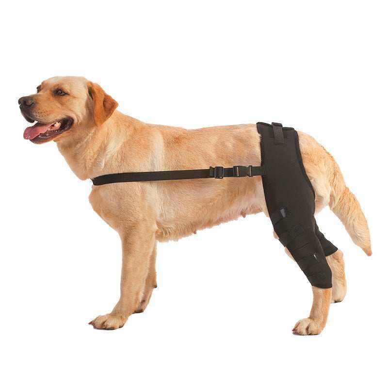 Tutore per zampe posteriori per cani | Recupero post-operatorio | DogModa by Dog Moda