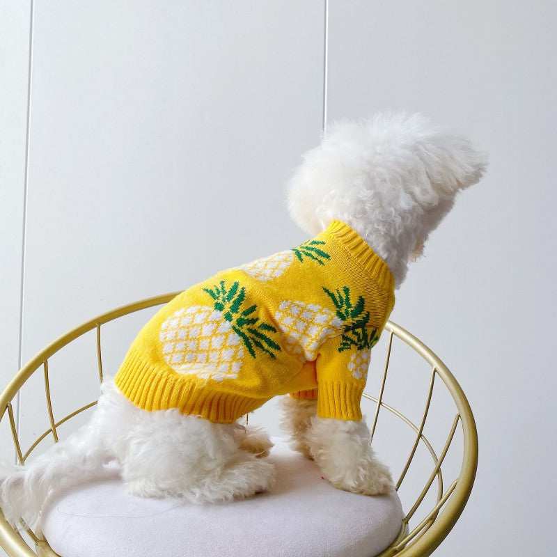 Maglione per Cani a Fantasia Ananas - Morbido e Caldo | DogModa