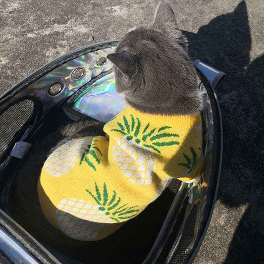 Maglione per Cani a Fantasia Ananas - Morbido e Caldo | DogModa
