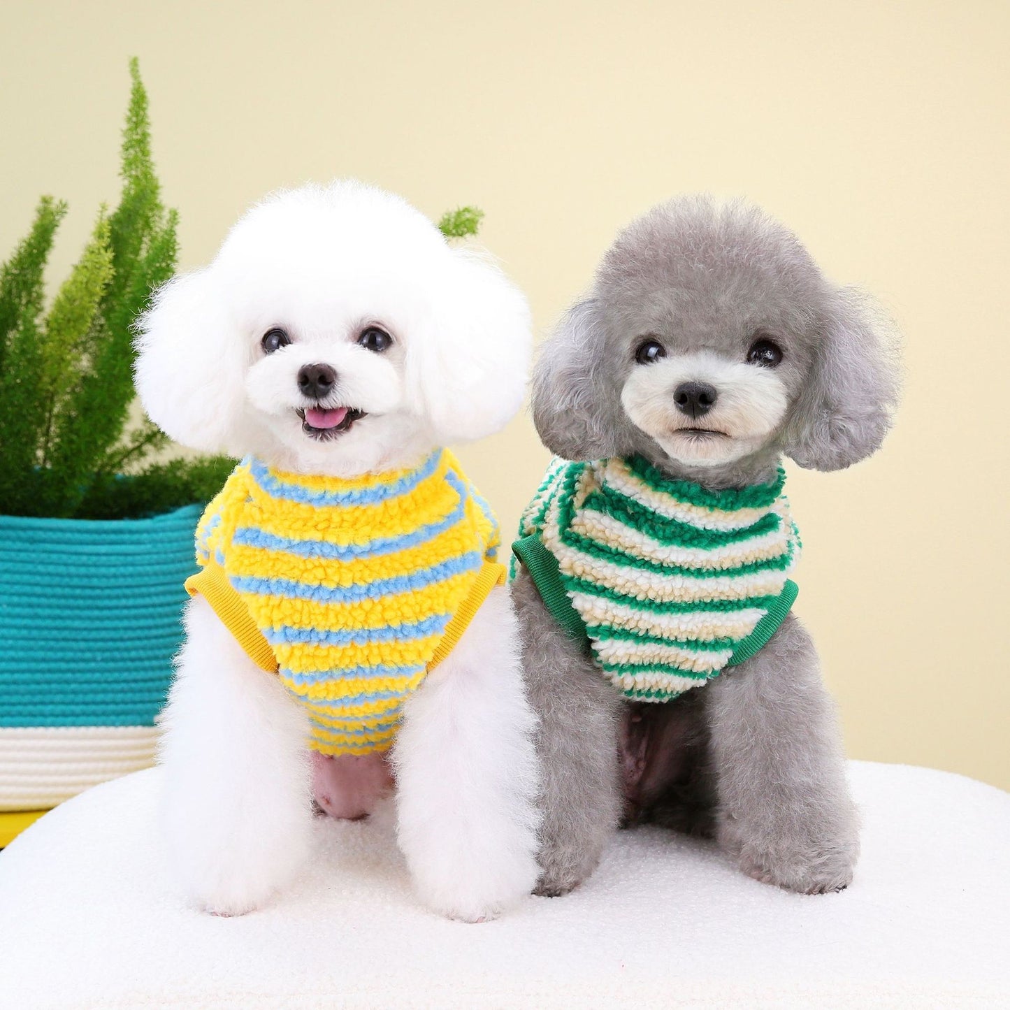 Maglia per cani a righe "Rainbow" con anello pettorina e ricamo orsetto