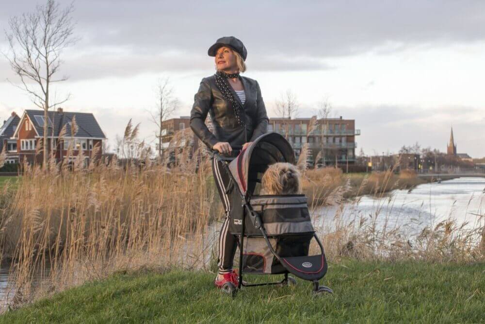 InnoPet Hunde- und Katzenbuggy „Avenue“ – Leicht und funktional