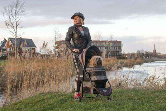 Passeggino per Cani e Gatti "Avenue" InnoPet – Leggero e Funzionale by Dog Moda