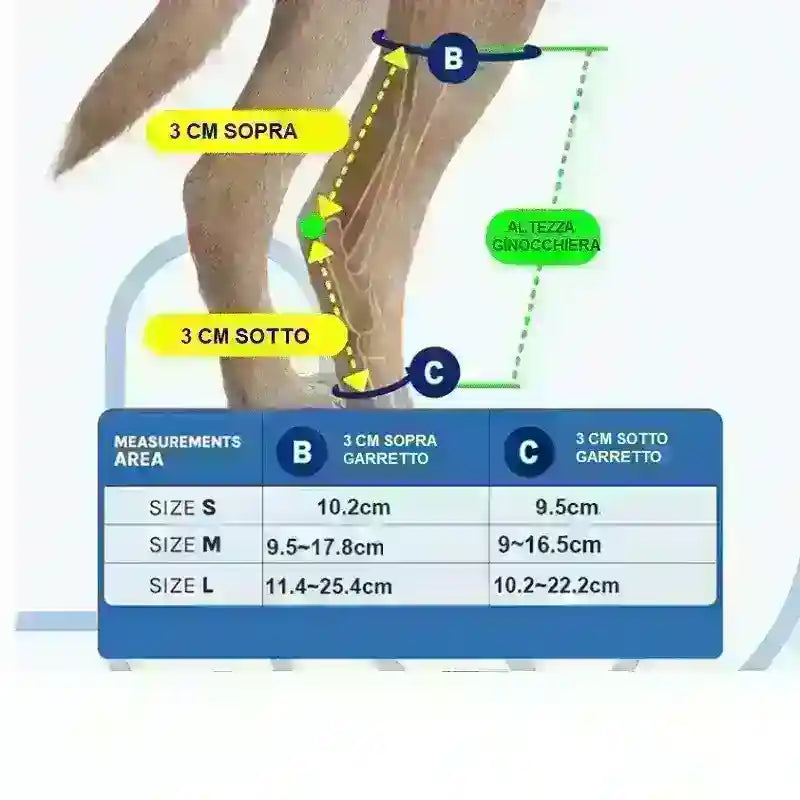 Dog leg measurement chart showing sizes S, M, L with measurements above and below the hock for knee brace fitting