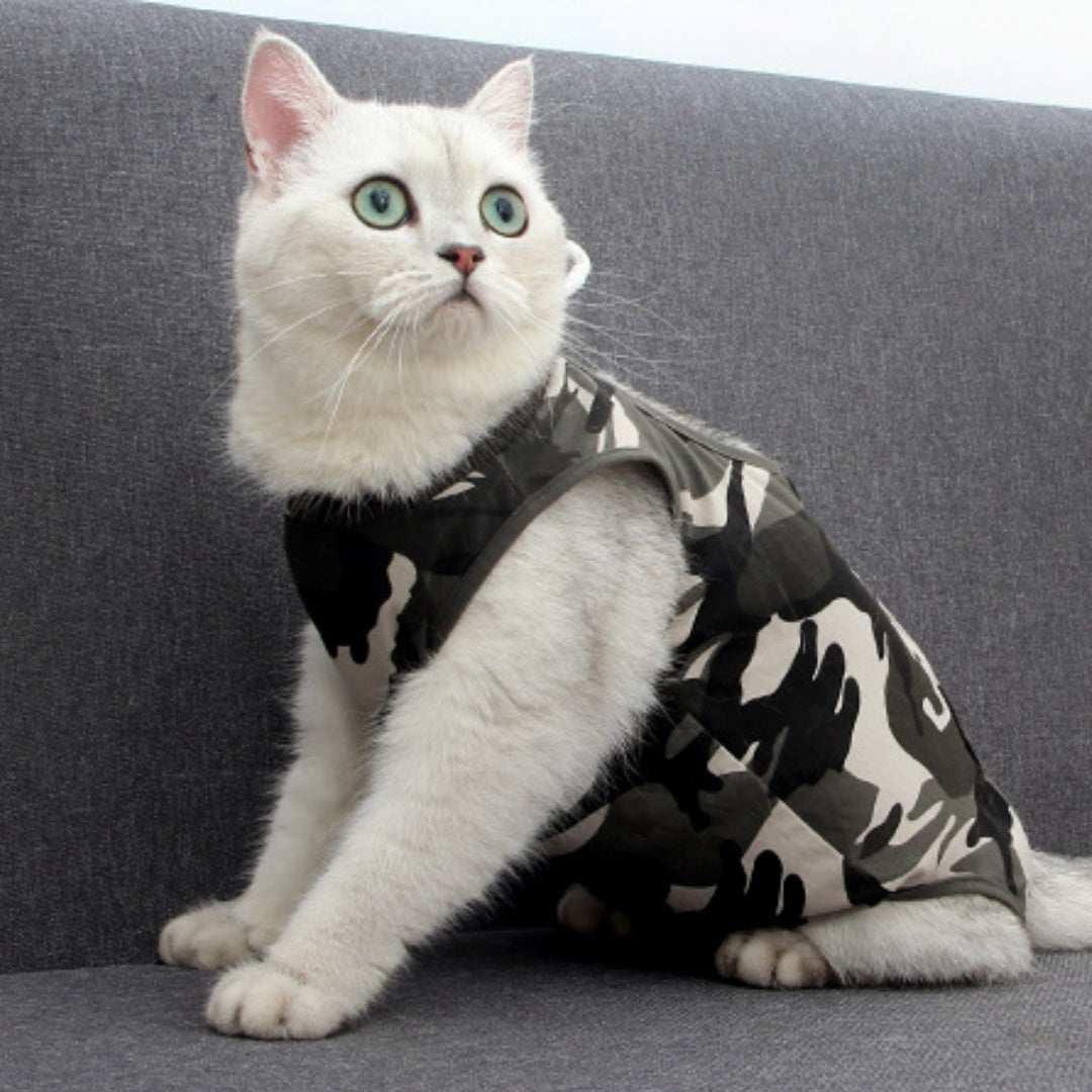 Gatto con tutina post-operatoria Camouflage nera e grigia, chiusura dorsale.
