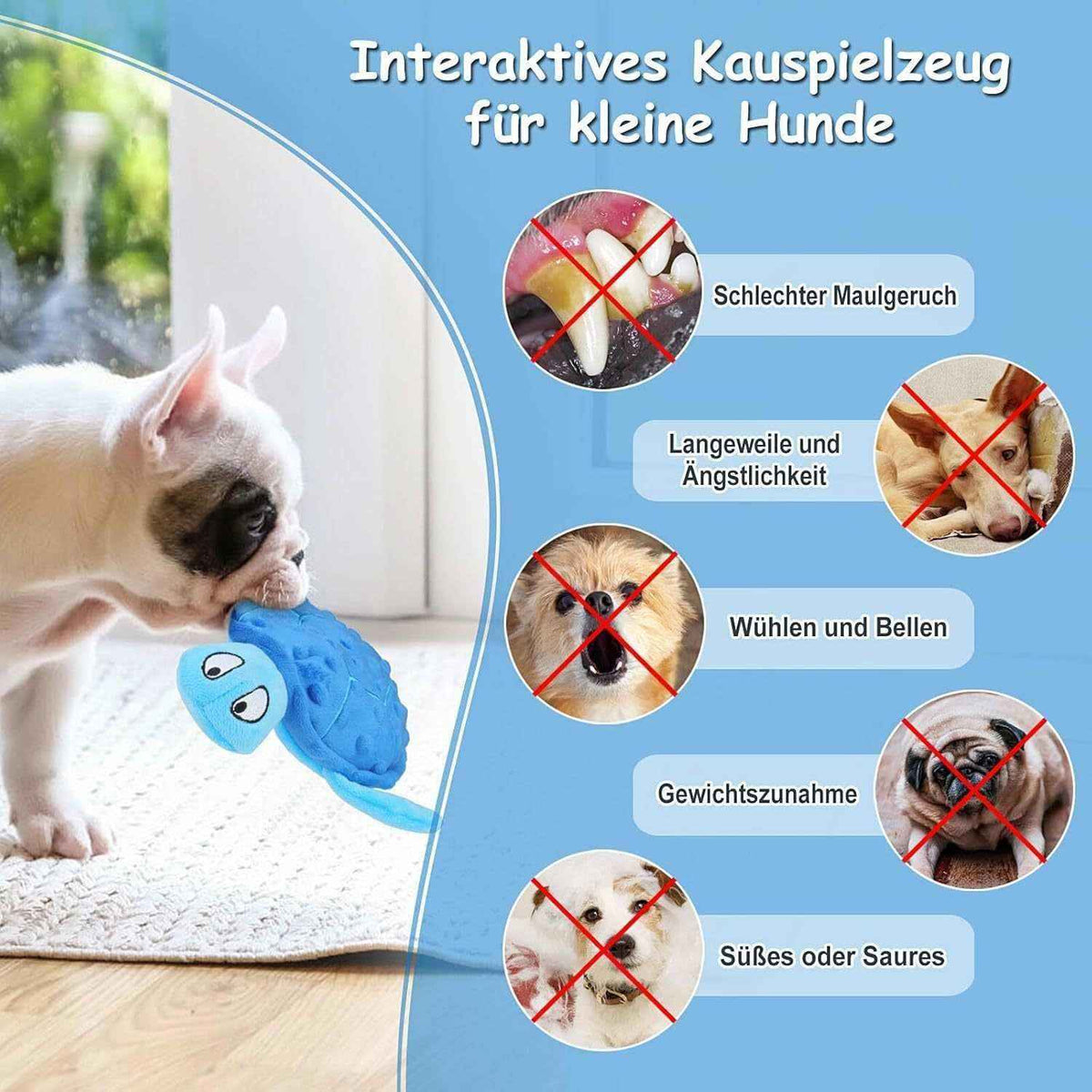 Small white dog playing with interactive blue chew toy to prevent bad breath, boredom, barking, weight gain.