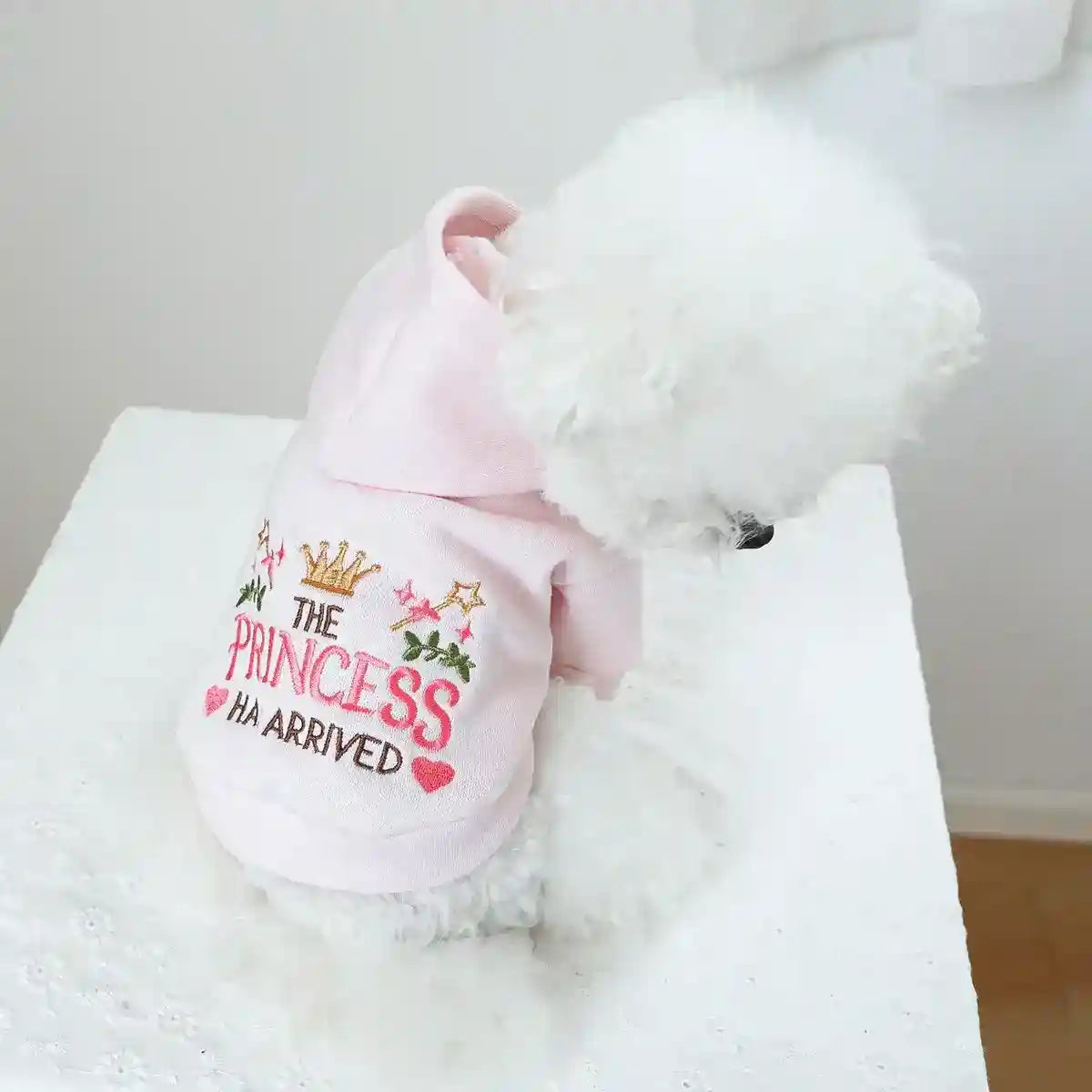 Felpa per Cani Rosa "The Princess Has Arrived" con Cappuccio e Ricami by Dog Moda