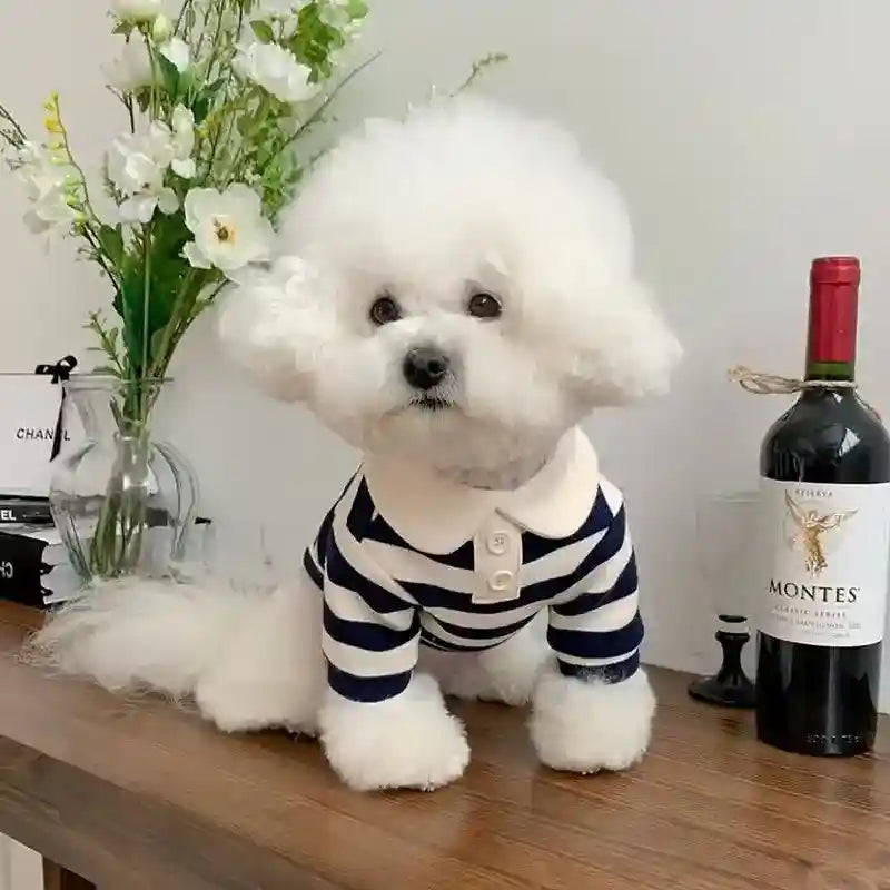 Maglia a Righe per Pomerania, Barboncino e Cani di Piccola Taglia - Abbigliamento Elegante per Cani e Gatti by Dog Moda