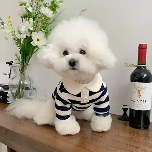 Maglia a Righe per Pomerania, Barboncino e Cani di Piccola Taglia - Abbigliamento Elegante per Cani e Gatti by Dog Moda