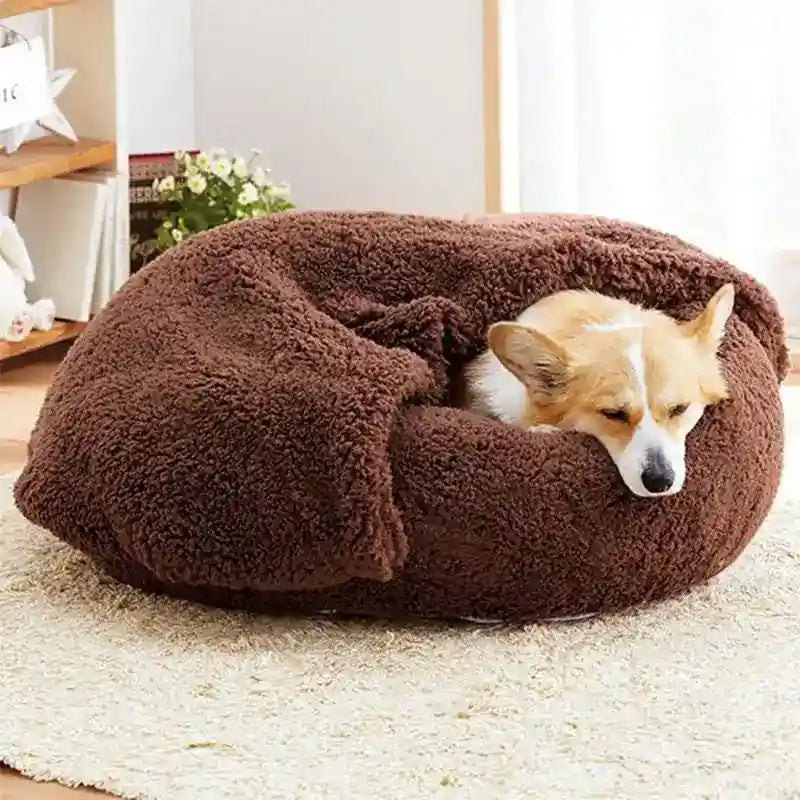 Corgi dog resting on a plush brown cozy pet bed in a bright, homey living room setting