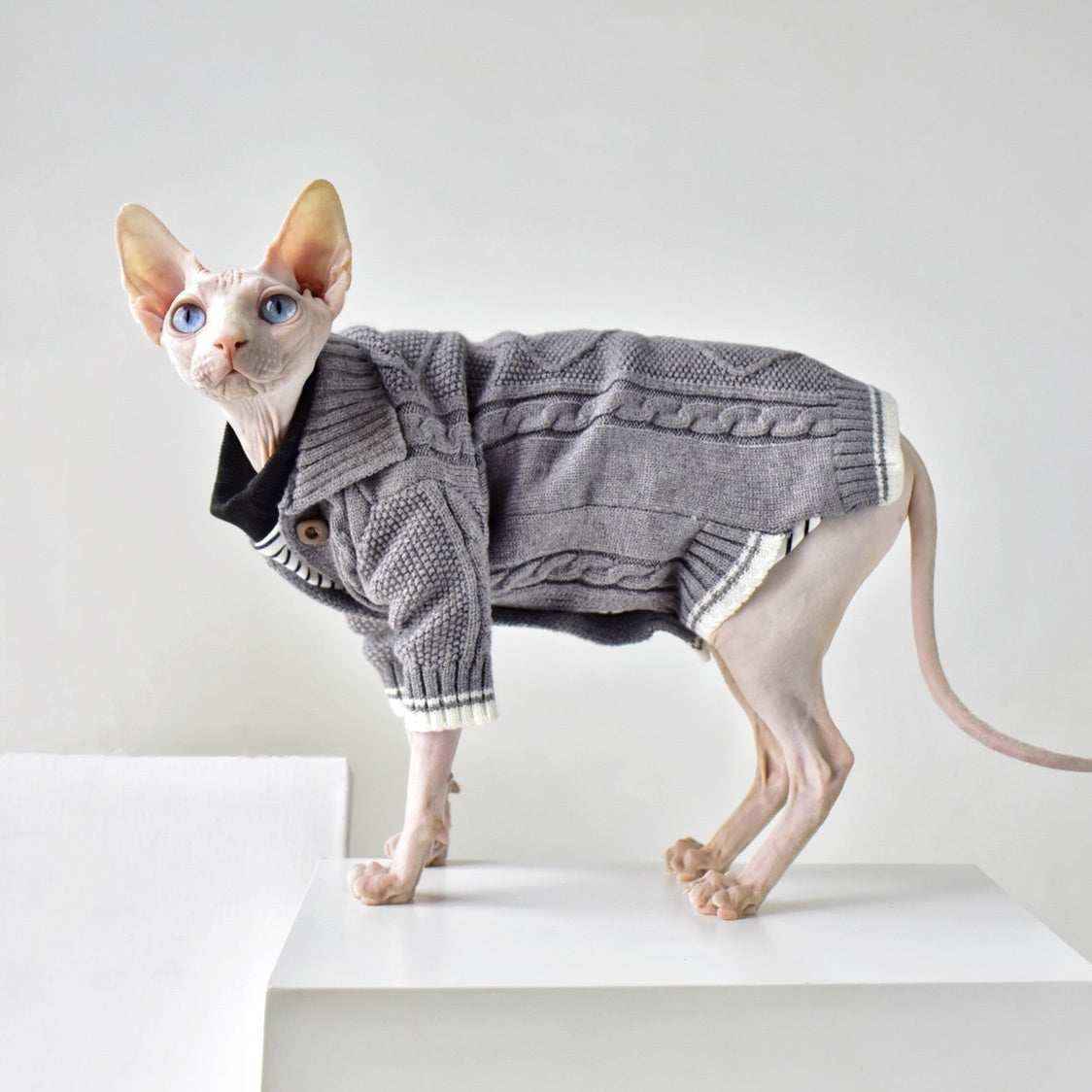 Maglione Elegante per Gatti Sphynx – Stile e Comfort per Ogni Stagione by Dog Moda