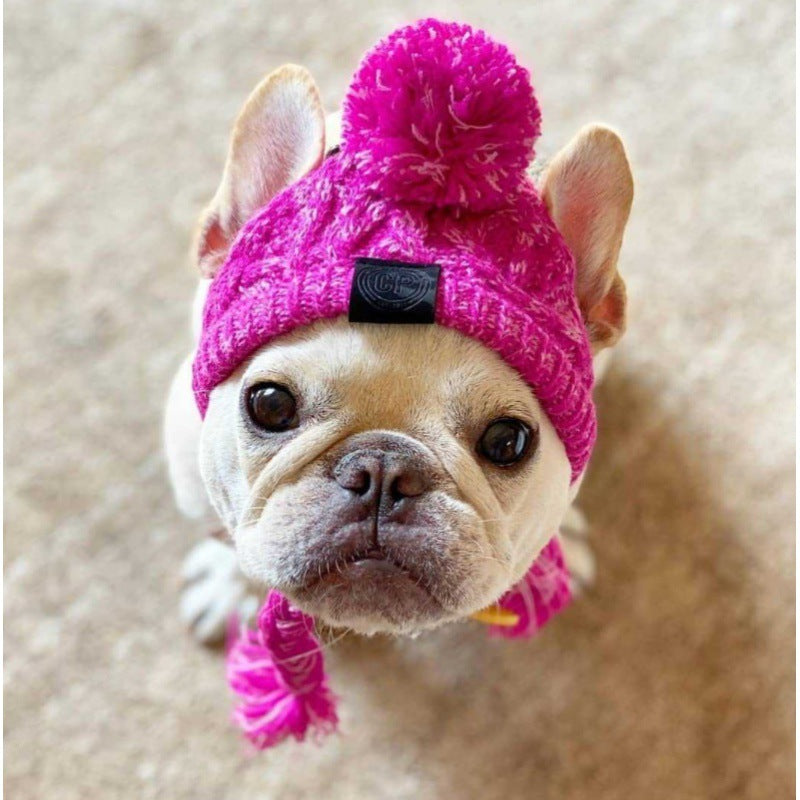 Cappello in Lana per Cani Piccola Taglia "Saint Moritz" - Eleganza e Comfort Invernale