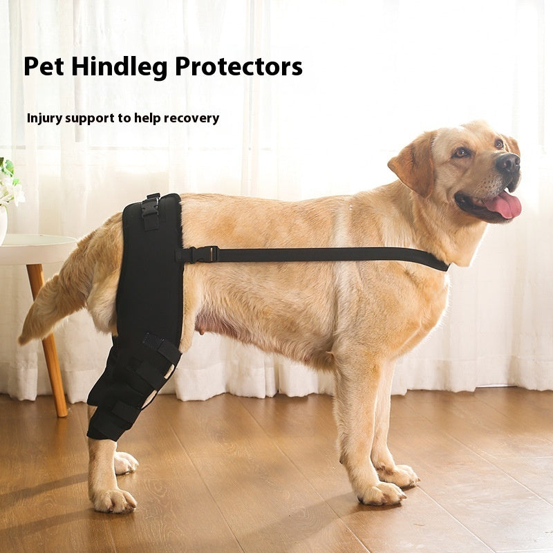 Dog Hind Leg Brace | Post-op Recovery | DogModa