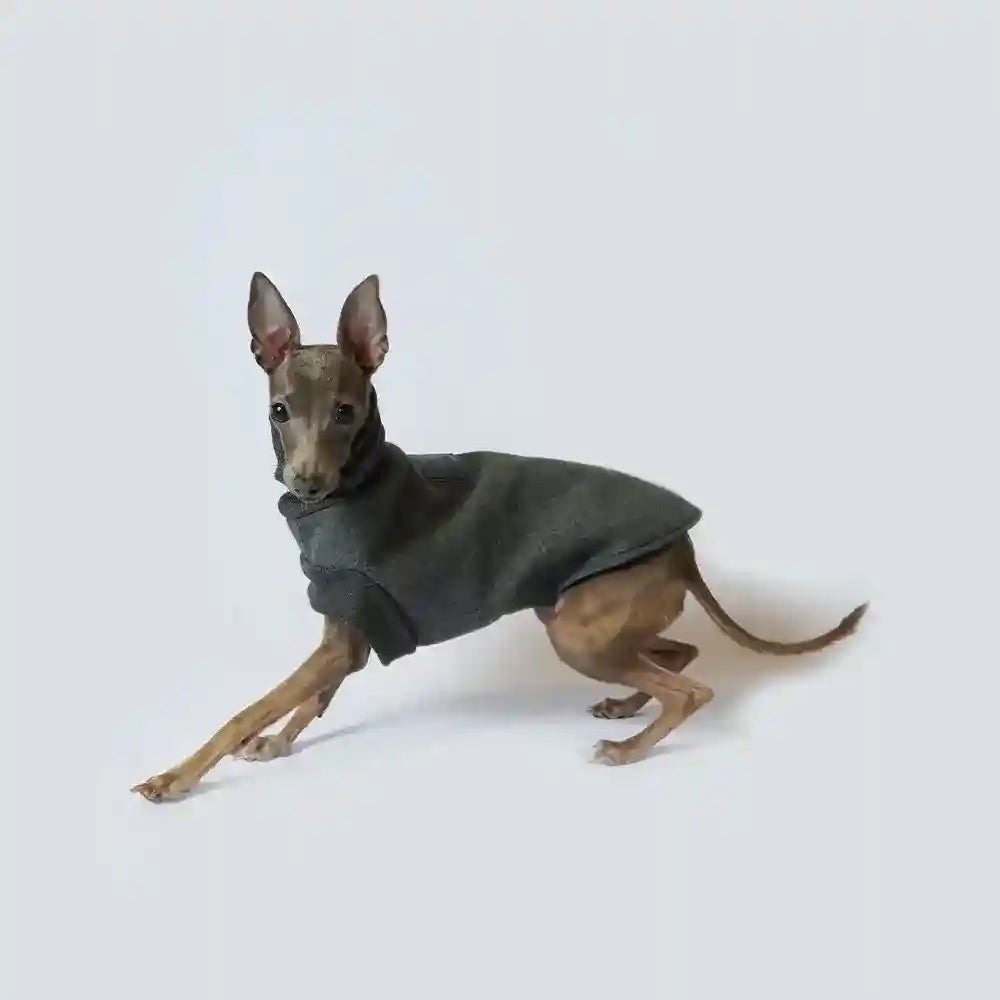 Felpa per Pinscher in flanella grigia modello "Milo" - Comfort e stile per il tuo amico a quattro zampe by Dog Moda