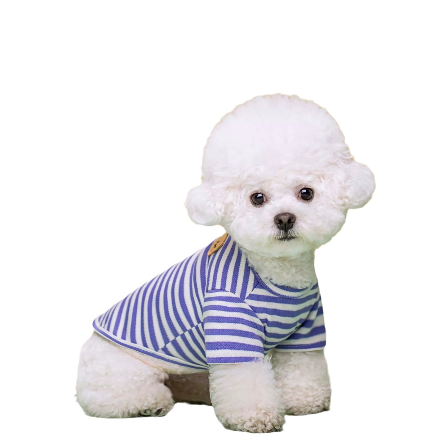 Stile a Righe: Magliettina Chic per Cani di Piccola Taglia - Dog Moda