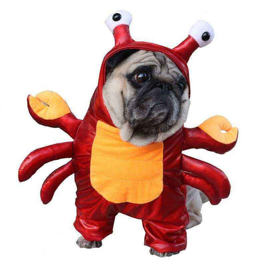 Costume di Carnevale per cani e gatti "Aragosta" | DogModa by Dog Moda