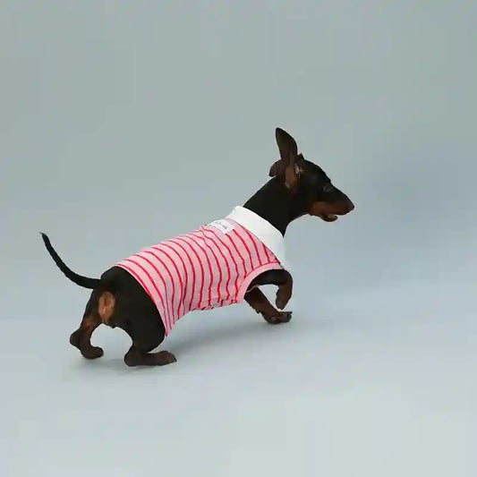 Maglia Polo per Cani Rosa - Colletto Bianco | Dogmoda by Dog Moda