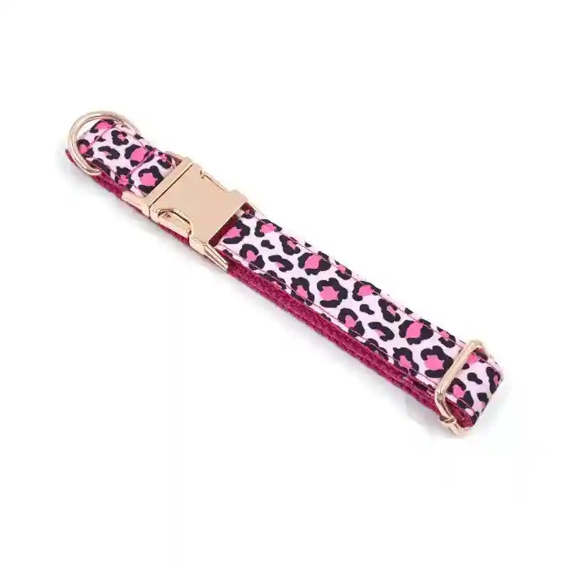 Set guinzaglio e collare per cani "Puma" by Dog Moda
