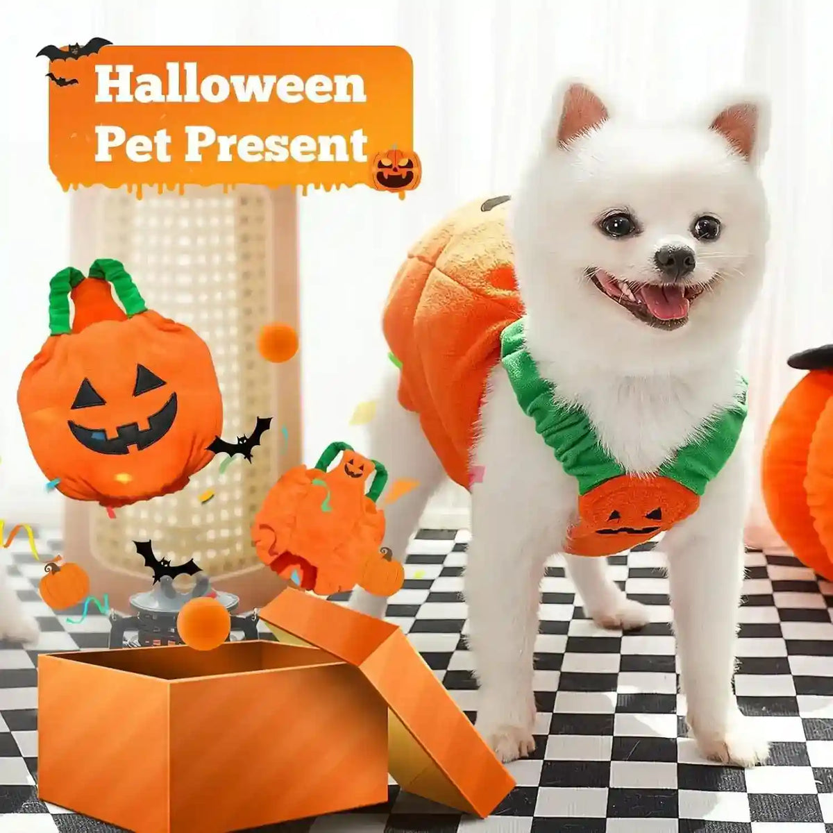 White dog wearing an orange pumpkin Halloween costume standing on a black and white checkered floor