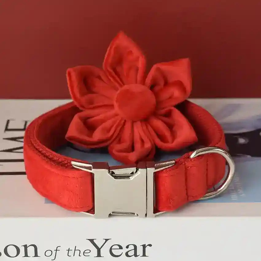 Set Collare e Guinzaglio per Cani in Velluto Rosso - Modello "Bouquet" by Dog Moda