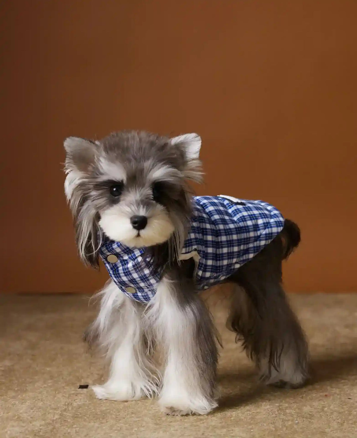 Piumino TNbr per Cani Smanicato - Quadretti Blu e Bianchi by Dog Moda