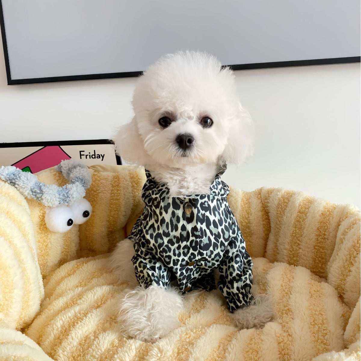 White poodle dog wearing leopard print shirt sitting on a soft yellow striped pet bed