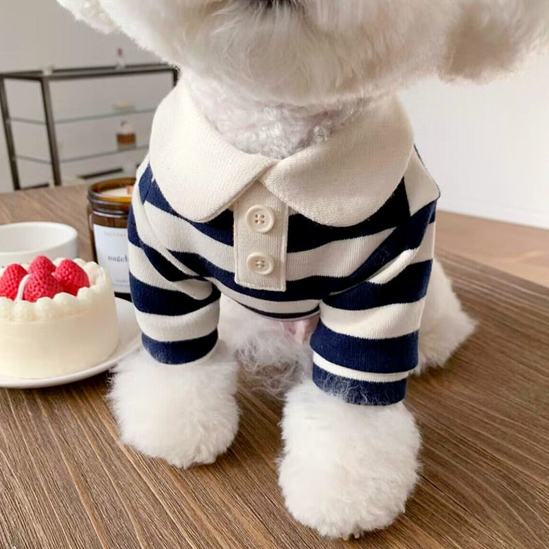 Striped Sweater for Pomeranian, Poodle and Small Dogs - Stylish Dog and Cat Clothing