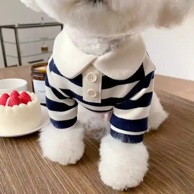 Maglia a Righe per Pomerania, Barboncino e Cani di Piccola Taglia - Abbigliamento Elegante per Cani e Gatti by Dog Moda