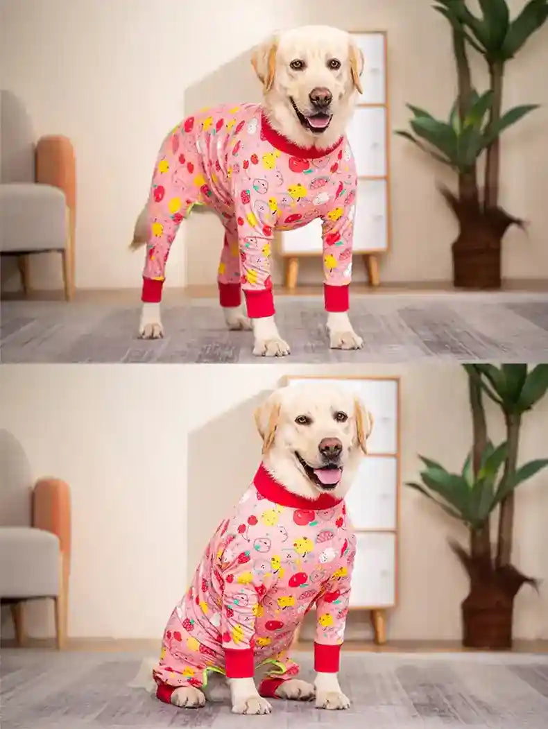 Maglia in Cotone per Cani Boxer e Labrador con Fantasia Azzurra e Dinosauri by Innopet