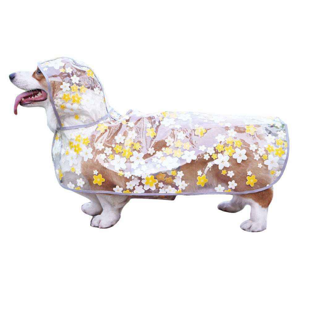 Corgi dog wearing transparent raincoat with yellow and white floral pattern on white background