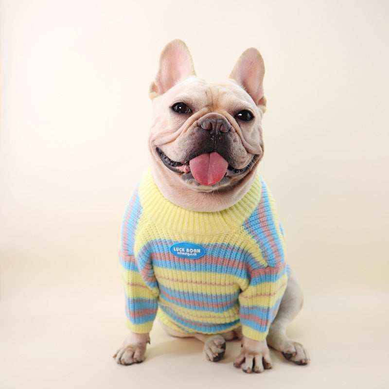 Maglioncino per cani "Abbraccio di Lana" - Dog Moda