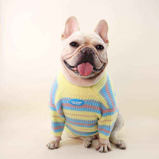 Maglioncino per cani "Abbraccio di Lana" - Dog Moda