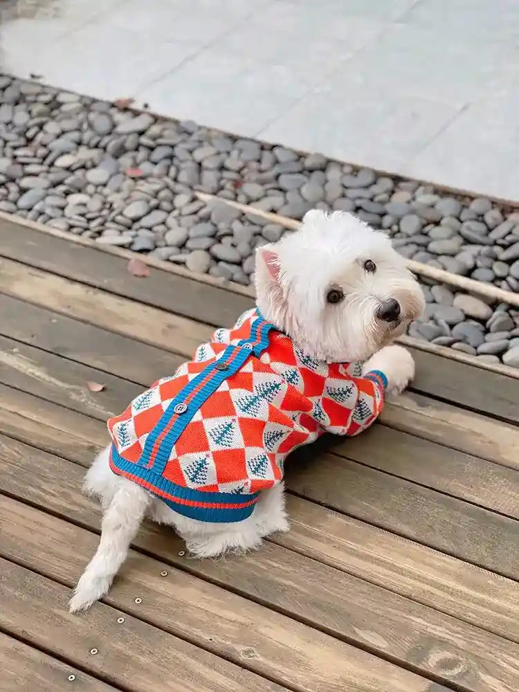 Maglioncino per Cani "Natale" – Stile Festivo e Massimo Comfort! ❄️ by Dog Moda