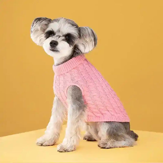 Small gray and white dog wearing a pink cable knit sweater sitting on yellow surface with yellow background
