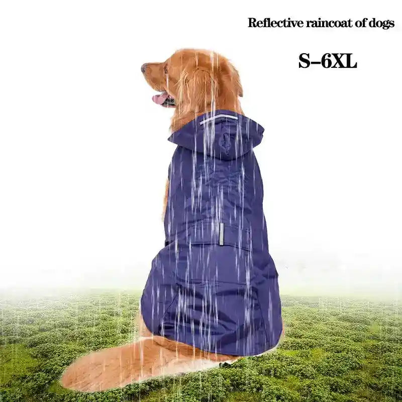 Golden retriever wearing purple reflective raincoat in rain over green landscape