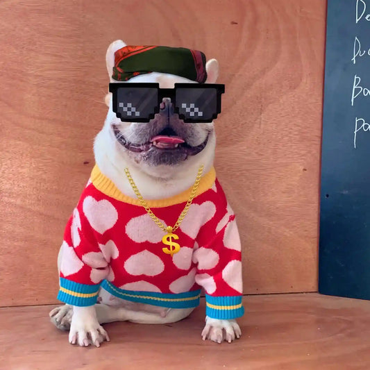 Maglioncino "Rubacuori" per Bulldog e Altri Cani – Cuori Rossi per Scaldare il Tuo Pet con Stile - Dog Moda