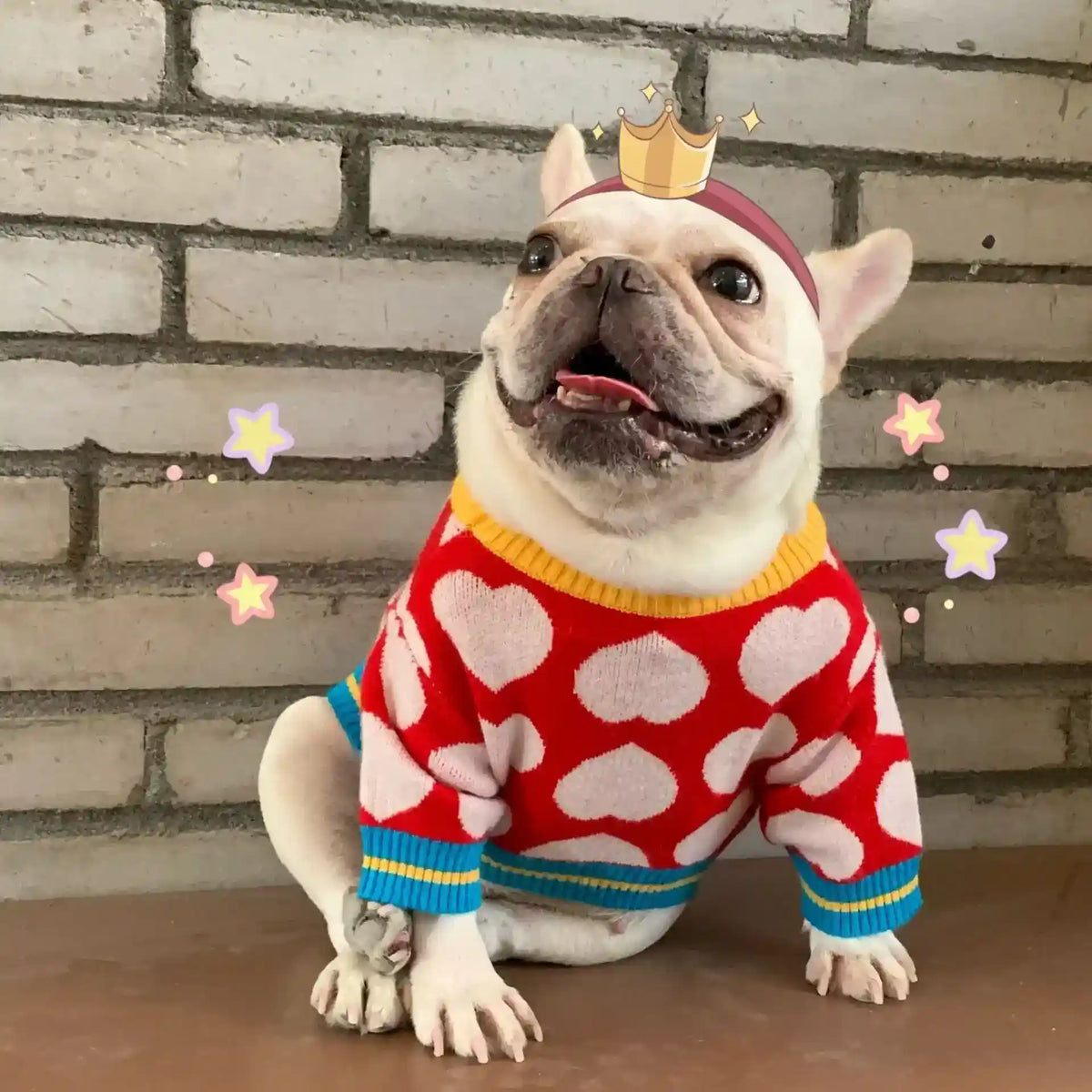 Maglioncino "Rubacuori" per Bulldog e Altri Cani – Cuori Rossi per Scaldare il Tuo Pet con Stile - Dog Moda