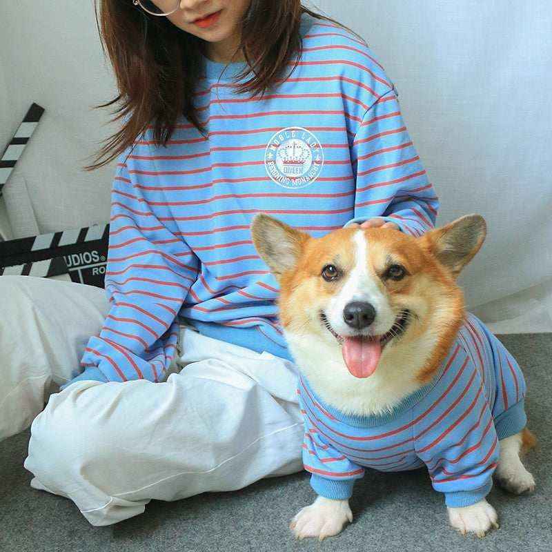 smiling corgi dog wearing blue and red striped sweater sitting next to person in matching sweatshirt