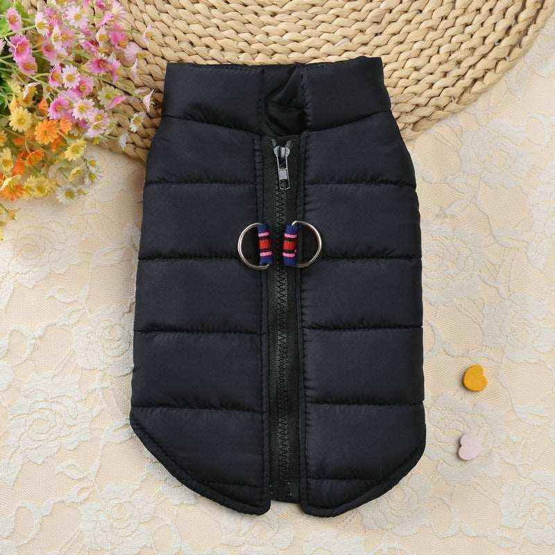 black padded dog vest with central zipper and metal rings on floral lace background with flowers