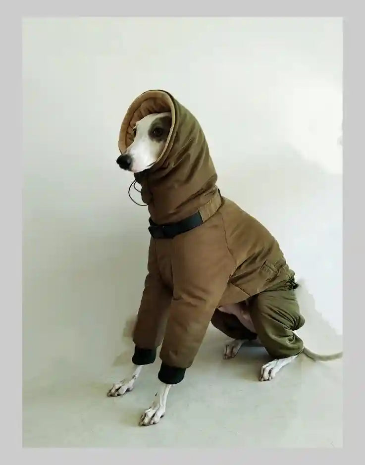 Cappotto Levrieri Galgo Español - 4 Zampe Imbottito Pile by Dog Moda