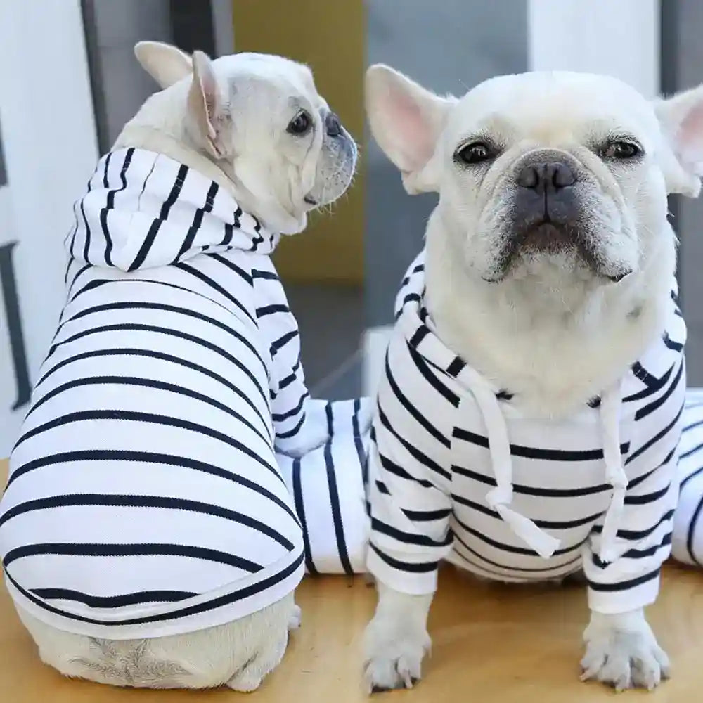 Maglietta per cani con cappuccio "Love Boat" by Dog Moda