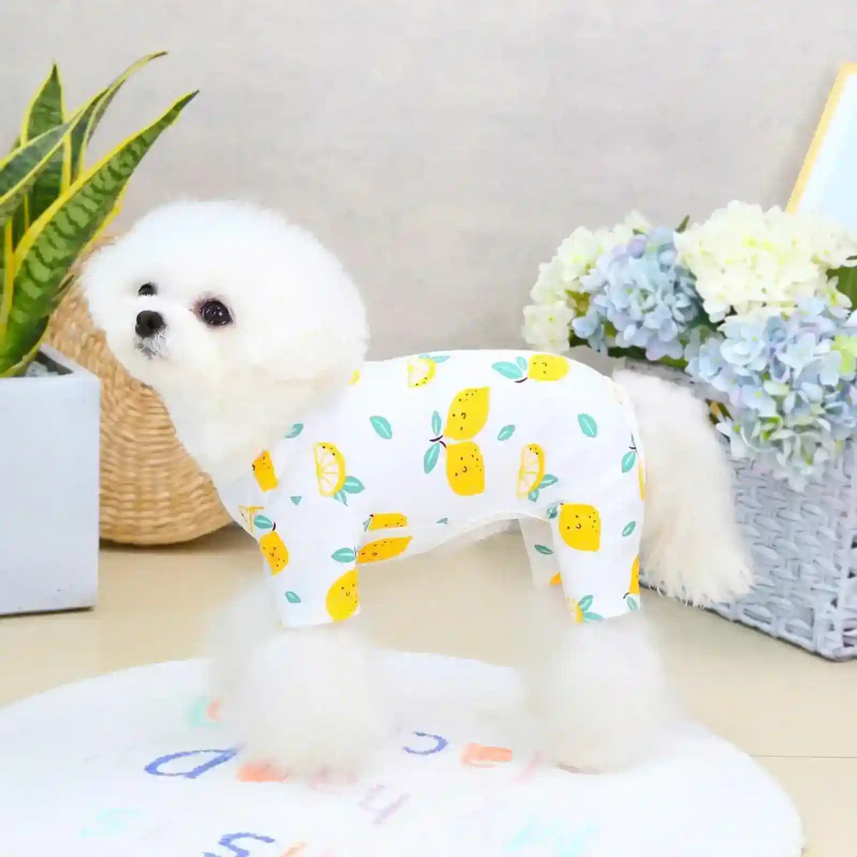 Tutina per cani "Dream Pet" by Dog Moda