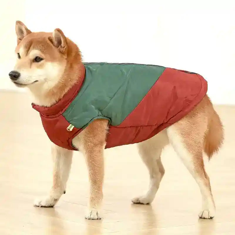 Cappotto per Cani Taglia Media e Grande | Zip, Riflettenti e Look Casual by Dog Moda