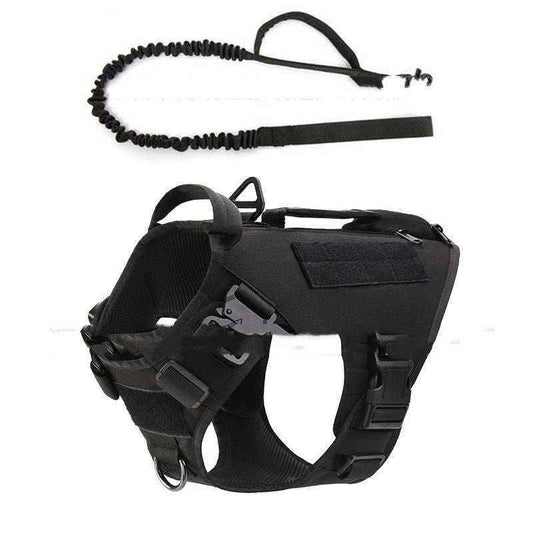 Pettorina Tattica "Explorer" per Cani - Robustezza e Funzionalità per Avventure all'Aperto - Dog Moda