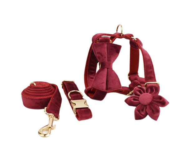 Set Pettorina ad H per Cani Modello "Velvet"