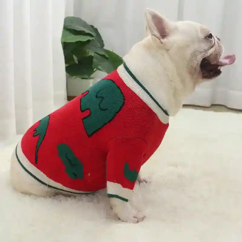 White French bulldog wearing red sweater with green dinosaur pattern sitting on white carpet