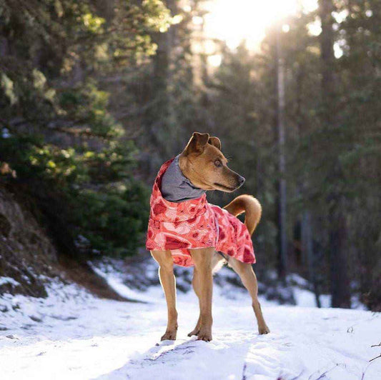 Cappotto trapuntato per cani "North Ice" – Protezione termica per le escursioni invernali by Dog Moda