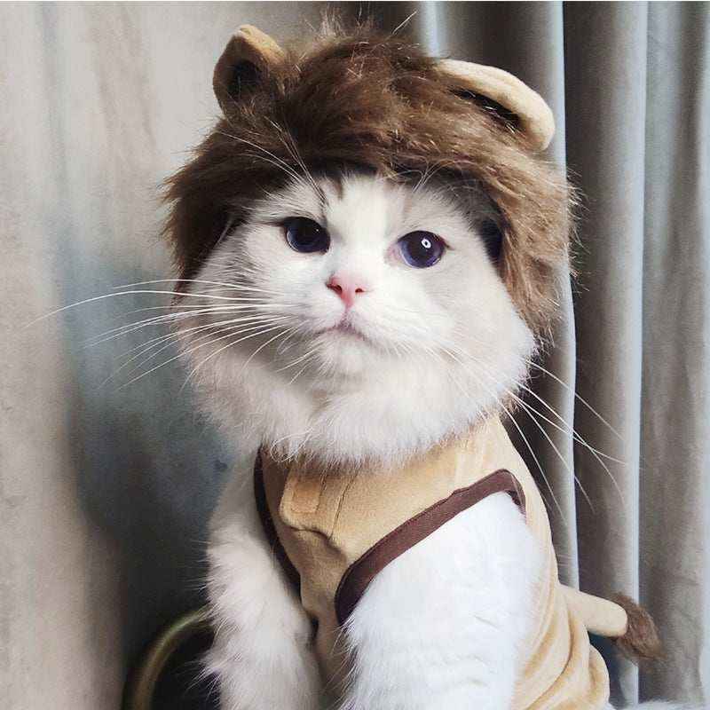 White fluffy cat dressed in a beige lion costume with faux mane and ears indoors