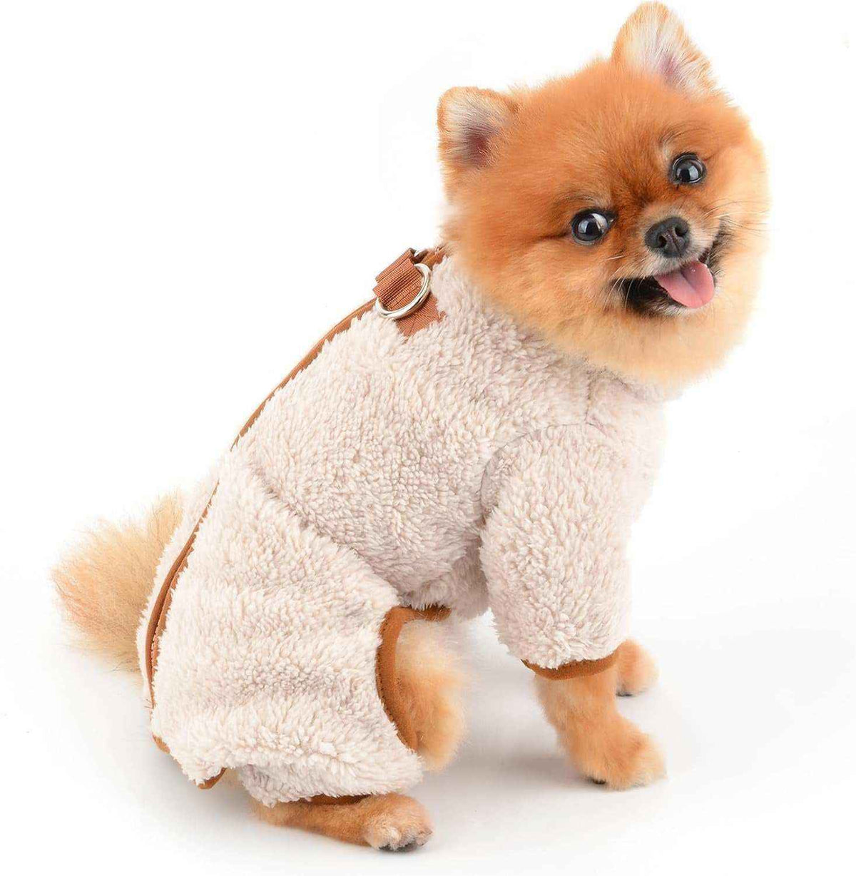 Happy Pomeranian dog wearing cozy beige fleece outfit against white background