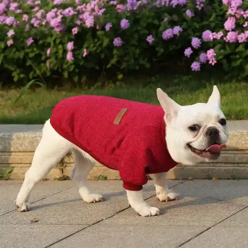 Maglioncino per Cani in Tinta Unita – Modello "Classic" - Dog Moda